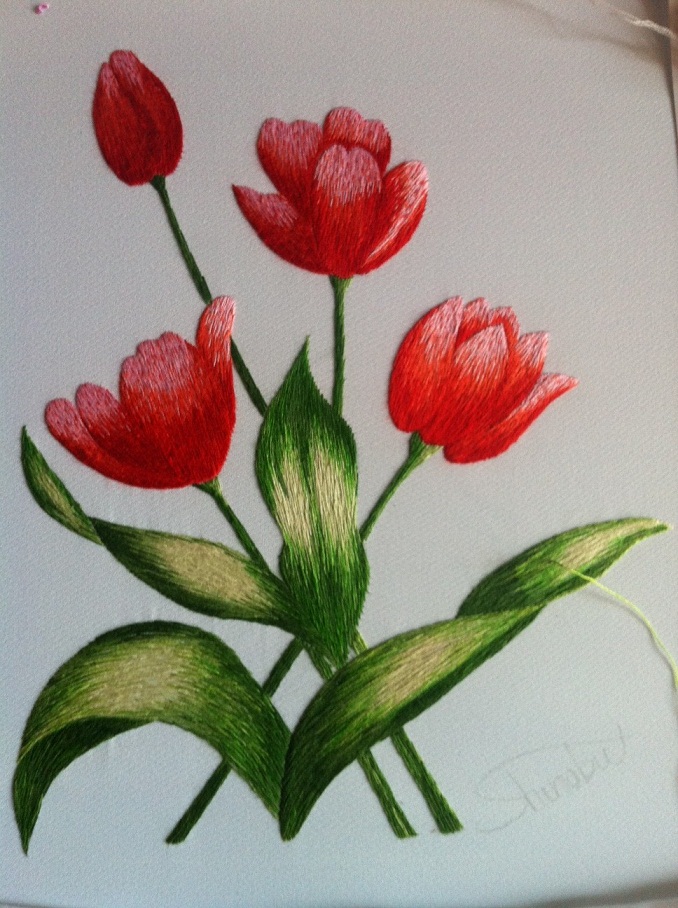 Hoa tulip 02